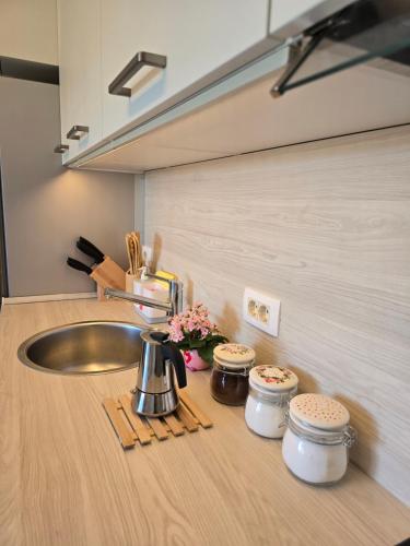 a kitchen counter with a sink and a mixer at Mandala Terra in Gračišče