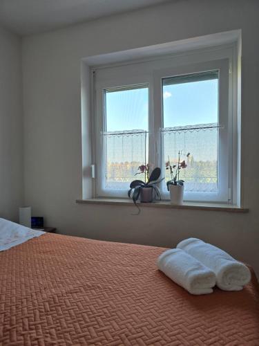 a bedroom with a bed and a window with towels on it at Mandala Terra in Gračišče