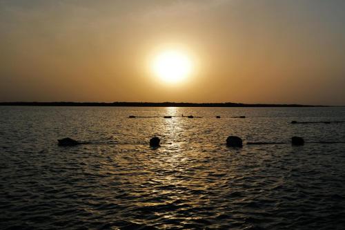 a group of rowers in the water at sunset at La Cabane Rasta - Mar Lodj in Mar Lodj