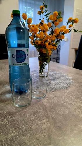a bottle of water and two glasses on a table with flowers at Dory Studio in Drobeta-Turnu Severin
