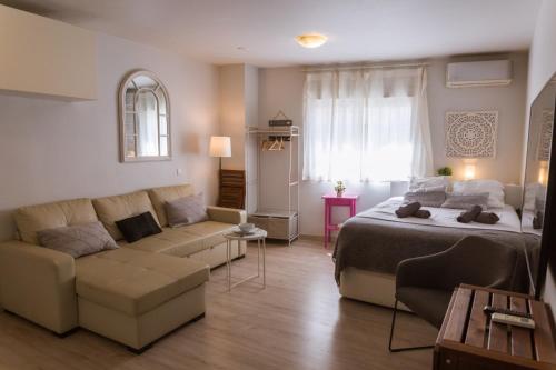 Acogedor y moderno estudio en Capuchinos