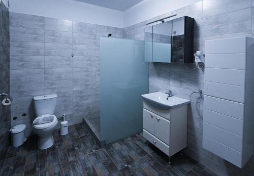 a bathroom with a toilet and a sink and a mirror at Astri Villa in Ierissos