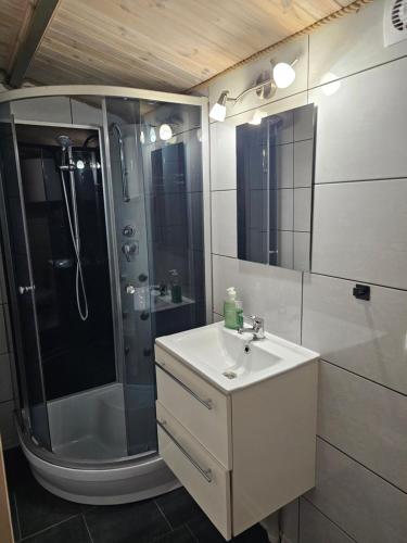 a bathroom with a shower and a sink and a mirror at Domki w lasku in Wiele