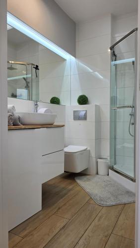 ein weißes Badezimmer mit Waschbecken und Dusche in der Unterkunft Anpol Udany Wypoczynek in Inowrocław