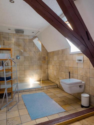 a attic bathroom with a shower and a toilet at Villa Stradivari - Black Forest with Alpine views in Lenzkirch