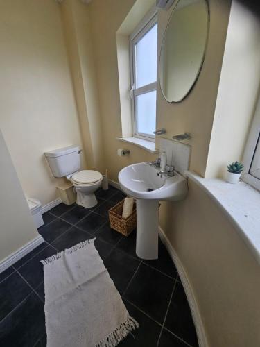 a bathroom with a sink and a toilet and a mirror at The Yellow Bollard in Galway