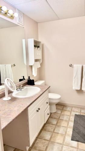 a bathroom with a sink and a toilet at Bright & Cozy Private 1BR Suite in Whitehorse