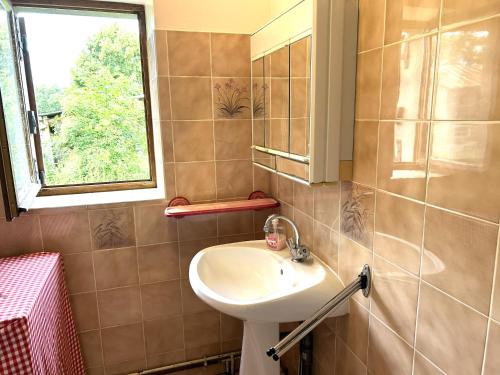 a bathroom with a sink and a window at Maison Le Merle Rouge in Sazeray