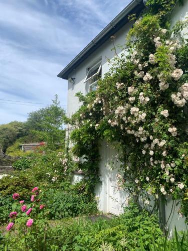 Jardí fora de Trigonos - Peaceful Lakeside B&B and Retreat in Eryri National Park