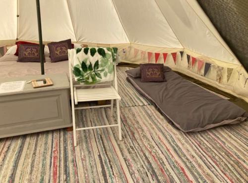 a room with a tent with a chair and a bed at Looe Valley Camping in Saint Keyne