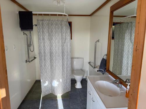 a bathroom with a toilet and a sink and a mirror at Freestone Cabins in Manapouri