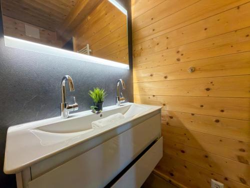 a bathroom with a sink and a mirror at Rattendorf 13A in Rattendorf
