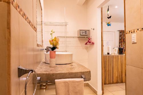 a bathroom with a sink and a counter in a room at Casa Mapache Pool and Breakfast Available near Tamarindo Beach in Tamarindo