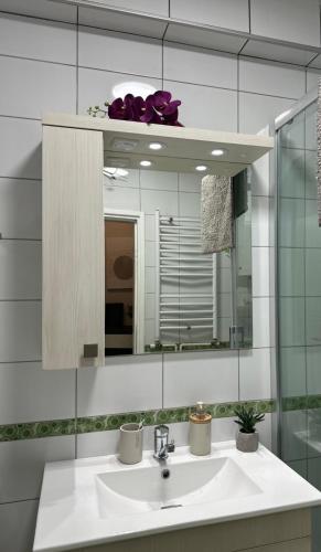 a bathroom with a sink and a mirror at Apartman Una in Leskovac