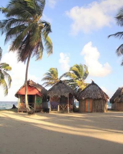a group of huts on a beach with a palm tree at Islas de Guna Yala Cabaña tradicional Guna Tubasenika in Arritupo Número Dos