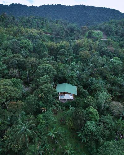 a small house in the middle of a forest at MindoLoft Loft de lujo con servicio premium en Mindo in Mindo