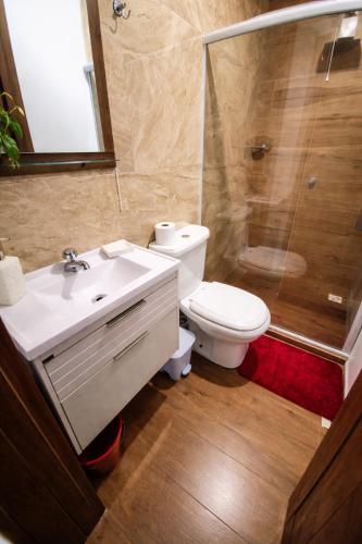 a bathroom with a toilet and a sink and a shower at Chalé Cabana Rústico refúgio e sossego há 1,5km do centro de Domingos Martins in Domingos Martins