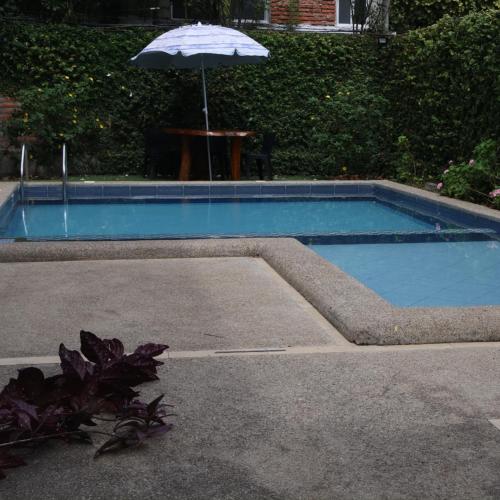 a blue swimming pool with an umbrella and some plants at Macedonia in San Clemente
