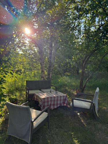 a picnic table and chairs under a tree at Red Era Glamping in Vilnius