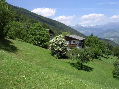 uma casa ao lado de uma colina relvada em Biogasthaus Plonerhof em Bressanone