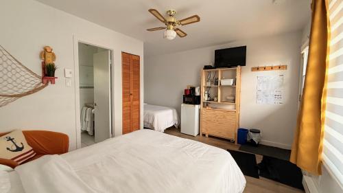 a bedroom with a bed and a ceiling fan at Les Petits Studios du bord de l'eau in Saint-Joseph-de-la-Rive