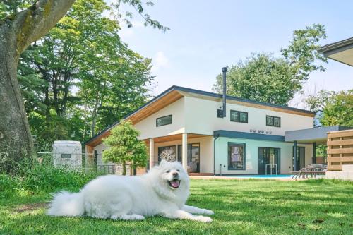 a white dog laying in the grass in front of a house at Villa Saison Fuji ヴィラ セゾン フジ in Fujikawaguchiko