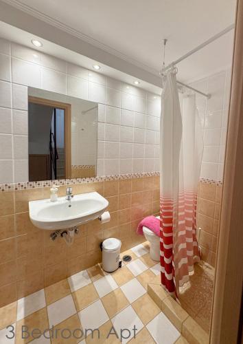 a bathroom with a sink and a shower and a toilet at Schinias Forest Beach House in Marathon