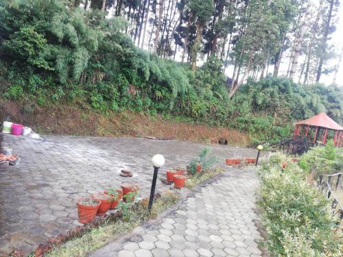 a garden with potted plants on a stone path at Syangbo Homestay in Nagarkot