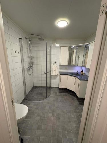 ein Badezimmer mit Dusche und Waschbecken in der Unterkunft Ravnklo in Sørkjosen