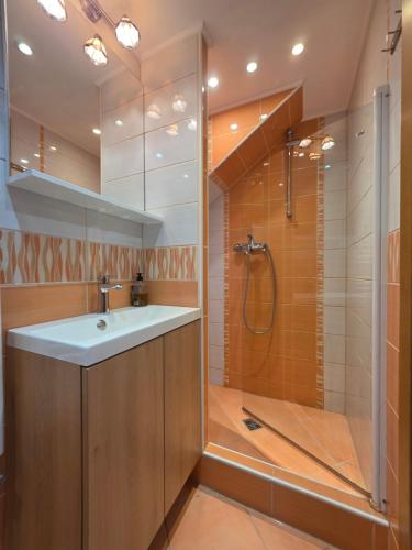 a bathroom with a sink and a shower at Apartments & Chalet Jurček in Luče