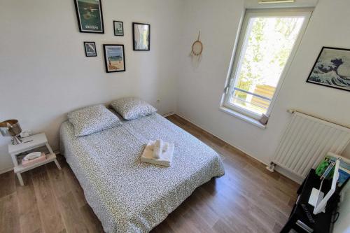 Le Salluste T2 cosy with balcony in Strasbourg