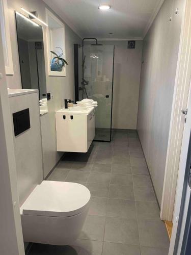 a bathroom with a toilet and a sink at Minihouse Stryn in Oppstryn