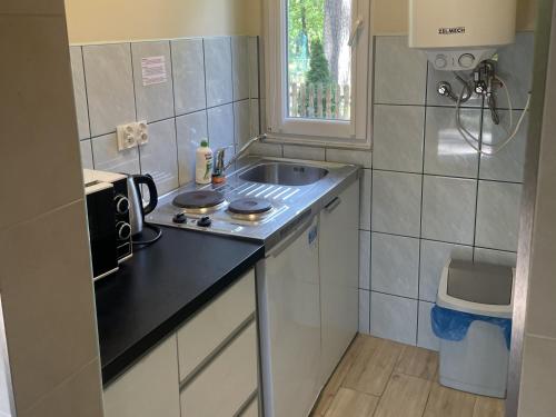 a small kitchen with a sink and a microwave at Hotel Zielony & OW Borowik & Pensjonat Manhattan - Centrum Rekreacji i Wypoczynku GASTROTUR in Turawa