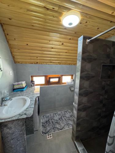 a bathroom with a sink and a shower at Vlasic Odmor - Villa Krajina V in Vlasic