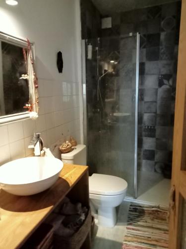 a bathroom with a shower and a toilet and a sink at Chez Mekki in Châteauponsac
