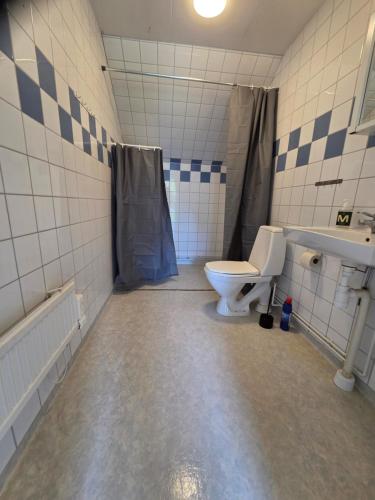 a bathroom with a toilet and a sink and a shower at Livning Horndal in Horndal