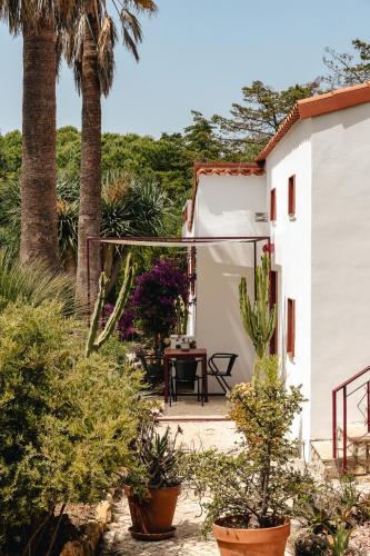 Maison de plage et jardin botanique à 600m de la mer