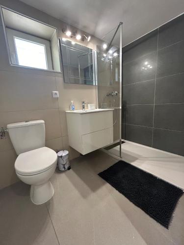 a bathroom with a toilet and a sink and a shower at logement centre Bourg, parking privé in Bourg-en-Bresse