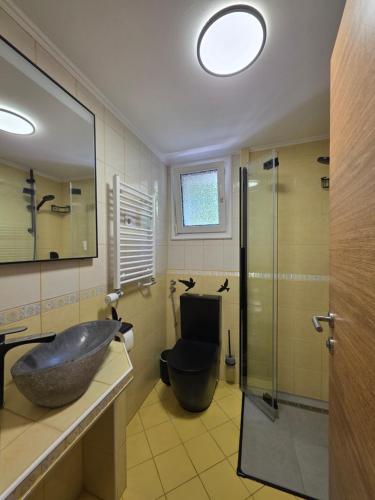 a bathroom with a sink and a glass shower at Apartment Jurček with jacuzzi & sauna in Luče