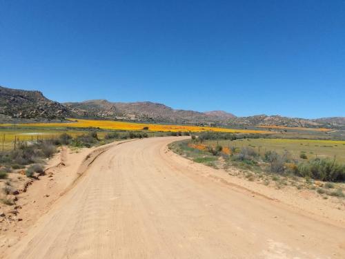 a dirt road in the middle of the desert at Oppi Berg Selfsorg Akkommodasie in Kamieskroon