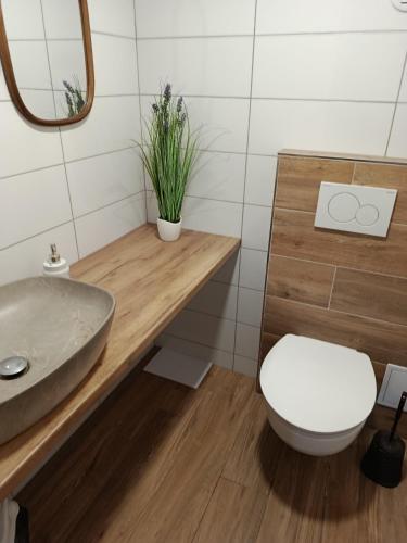 a bathroom with a sink and a toilet at Penzión Hubert in Zuberec