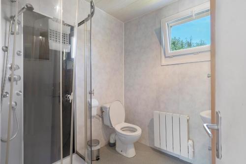 a bathroom with a toilet and a shower and a window at La Mailleraie - L'etang in Valojoulx