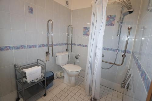 a bathroom with a toilet and a shower at Pension Terezka in Frymburk
