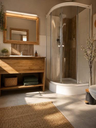 a bathroom with a shower and a sink and a mirror at Apartamenty Sunny Bear in Jelenia Góra