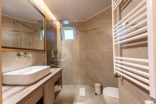 a bathroom with a sink and a toilet at Pensiunea Warthe Bed & Breakfast in Braşov