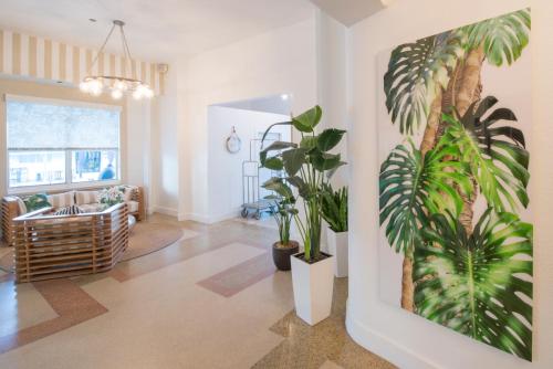 a living room with a plant on the wall at President Hotel in Miami Beach
