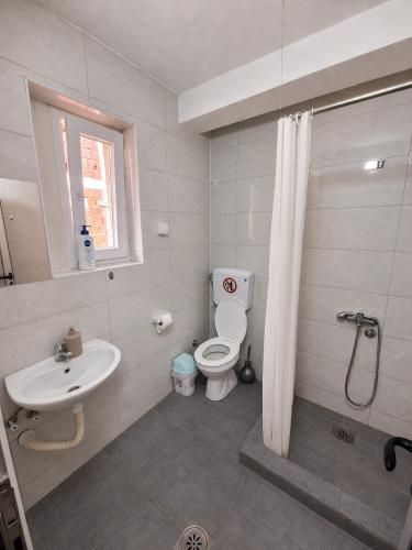 a bathroom with a toilet and a sink at Prenoćište-Vila Tasić in Vranje