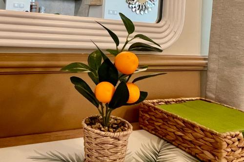 "Mediterranean Dolce Vita" Apartment