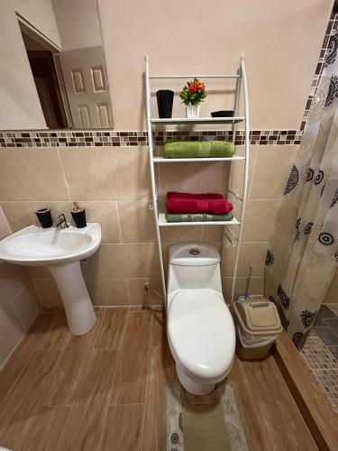 a bathroom with a toilet and a sink at California, Volcán, casa completa in Nueva California