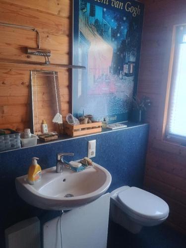 a bathroom with a sink and a toilet at Holzhaus Rheingoldstraße 49a in Urbar